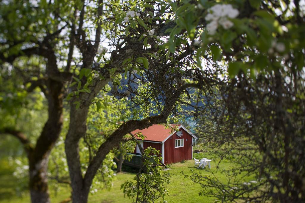 Dragsvik Fjordhotel (Adults Only) Balestrand Ngoại thất bức ảnh
